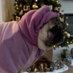 Coin image for 6tNEpcBbjvEmsS6KuhTXjW6BnXfXi8AHMWBaAQGwpump