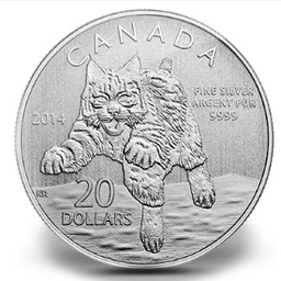 Coin image for 6u1fqou53Nm5VGtwrVCgHPrJ8P8CexjocKhmxTapump