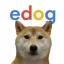 Coin image for 6v4rLhUrevsaz9SNqKD2Tor6LFcY6RQ4HKMBf4aipump