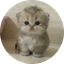 Coin image for 6vu7GphwLg6WfUVqfCBWTcpW4gQeBAws6VZSsAju1GoM