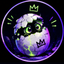 Coin image for 6wbjkrfc1zSysLXKTYRCyVMVZQGmMJiAFVQLbhp8pump