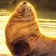 Coin image for 6x26T2XtnPDJvqyb71NMFytNWFamDVLfZTKsz2bSpump