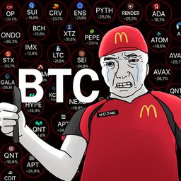 Coin image for 6y1YcLBeToAHDUm4XgKCdLfPfbWUGzvVPLgqWuWApump
