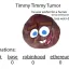 Coin image for 6y8yrzDgBxjZxcPrQm2r4gaWDFNVrUYLRYUyS1Tipump