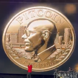 Coin image for 6zVMBDt8UxPoYAM5X5EgrLSxWhx3d9QwkCdSF8sBpump