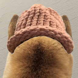 Coin image for 71C6Zfnbb1NNCSzBCtbSzpLDnEDvS6wreyoDXcaYpump