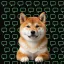 Coin image for 71KWRQHVzMYoM9sucMaQWpkFXZCiLCS5iAwSKYrdpump