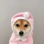 Coin image for 71kRriYM8c7Z25SPSMVX9XHzJ554jAxEpMGzteio2zHu