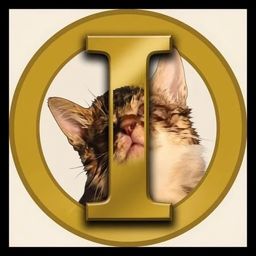 Coin image for 72ybNifgnC7djSkTStQZd1XVw9HaPHiEeknf2phpump