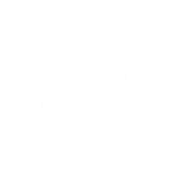 Coin image for 73Hyze66kPCfLpdH3hFKUDusLs7QDn1iQbDhxwDJ36um
