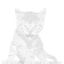 Coin image for 73K19CrDx1wAdw5F3FoXfEBrcKe6caT3xAM9WfFroBxt