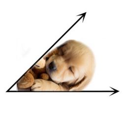 Coin image for 74rEbstBhJsPoL9QzUdRtdVbY5eVtTSeuzPmiNoEpump
