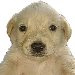 Coin image for 75FzYYdFvmHqfiaXjV4v1JDandWReAFFAjoAHpu7pump