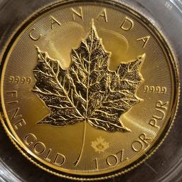 Coin image for 75HQy5GsqprT6TKXJrLLb1jTHU32HSaeGKYQNUn2pump