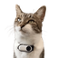 Coin image for 75pZjvMdSxWX5tScftDGKKrUQSyZjKCf6TmZGuQTpump