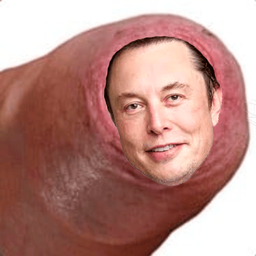 Coin image for 76RPp3XZEXyn6DgfaM2GDit8nnQ2cgP9UUzToUFDpump