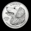 Coin image for 77PXCuCN1imnMzfTy3n1232jxDs13dXYsr4JReu7ypAi