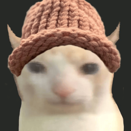 Coin image for 78VB4DyKb7prwiJx7DtdXoRjLeQsd63LRcyNCtaApump