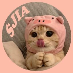Coin image for 78qvPsLRRHeJozP2fHrog6RM77zKcszRELqdvdHjpump