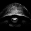 Coin image for 79VxJzBu4qVpsTvEANUqDK3B8gWYBhLasCXkVnGLo5QM