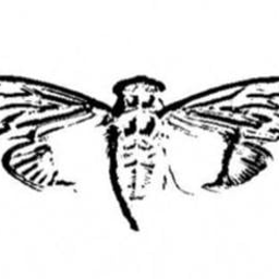 Coin image for 79umcAXoEaRV7TZPiKgzsuTig9ADmFVWvxCNLc6upump