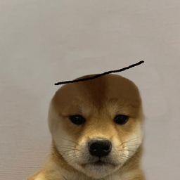 Coin image for 7AhyMxdeUqdzaNPkdAXVHzAAFFQhxkt1WorrVpcppump