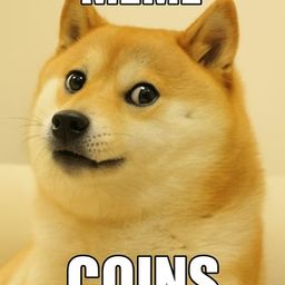 Coin image for 7Av52bQLBPEWf6i636AkTTaWJ72NtbBNZPyZnmNnpump