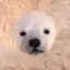 Coin image for 7B6HP84mZCSRrS7LEqS2wD7awhC9GNWZW2joZ9CWpump