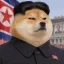 Coin image for 7CnzqZV5wqwLdj5iyRe9AYECAkaL6NGGRWe4wZ41pump