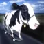 Coin image for 7D7EdwoL2ZWGvi94VC4wp4SyxtigGe5JTMLcTRfwLiVL