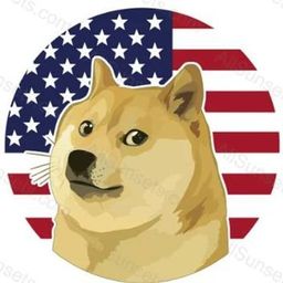 Coin image for 7DEVX5rMipxamboopRBDYKqqr38gtZ7FPvde8Ri8pump