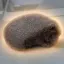 Coin image for 7E2gaDqUtnmTmF5hJWJvsdBuHcrZWQZ4Juhcj9N8pump