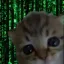 Coin image for 7ErdpwAtQhkvRFmwiEtittuBKwuMZUmsSCwokPnbpump