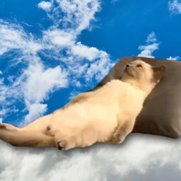 Coin image for 7FdAWjRwVvH6ghyFSWWgdkf98rae5gzGinTJAcs4pump