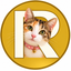 Coin image for 7FdDzRu4e2jDJrKLLBeNbfkrddDi59n8tYKuvAmTpump