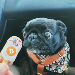 Coin image for 7GDbT8PDaLEtgVB3JcvHaZe9YXsaGWC7gjrc8U17pump