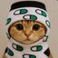 Coin image for 7GdxHrA9ocP96sZLPcecFtPSzvySJJDXwYu74QWZpump