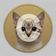 Coin image for 7HrtAanNkD5tYsDVtRgrYVZqG16ptsFsvtnHykfkpump