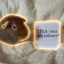 Coin image for 7Jyvxy8iVLDF5HBhsLsMyisiqQEZh6VyzhnmyBfXpump