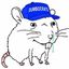 Coin image for 7JzBuhaoPPt3VLwsZ3fTMvkN5Y9arYESxaAskkbZpump