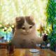 Coin image for 7KJ72c9LSXAy7uF3gwpD5sUwU3WaUCsc4TocZ4JzsyEu