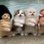 Coin image for 7Lbe787dJ4bxpPiEWLb9R9VnQsMiET6Gbacxedm3pump