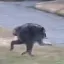 Coin image for 7MqvjFDWhMMwaaDSCgTvSGqD6MWYsFpRXCqFcDk8pump