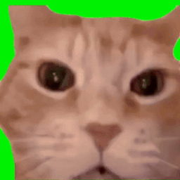 Coin image for 7MstYq9mcbh5E4WueXvVs7PyWxf7jdJB2mtHVjhSpump