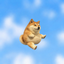 Coin image for 7N6Y2ZsVFYJGorRpUGuAwjRX61NoaGAThntZxe7Ypump