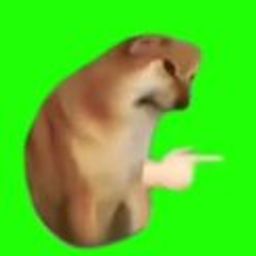 Coin image for 7PPvioTsT3vsENZKwgLUEyvrAz5Tb4D1eBsngCefpump