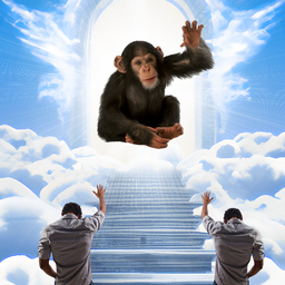 Coin image for 7QTY2mxEMLZVkcTPF8JJFRZz94b7mzzVmDefWoEGpump