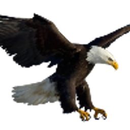 Coin image for 7RdFtT4vAXfxgoieudBGm5ySSWfWfg5nRAKetTCxpump