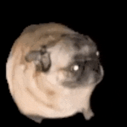 Coin image for 7RdiyTbX5q3KKn7DsMLEamULxpHjxvf5UKSiYcKYpump