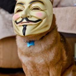 Coin image for 7RyEgcUHHof3RK1znnXSKZdSyYxjDzC8FTZVprEQpump